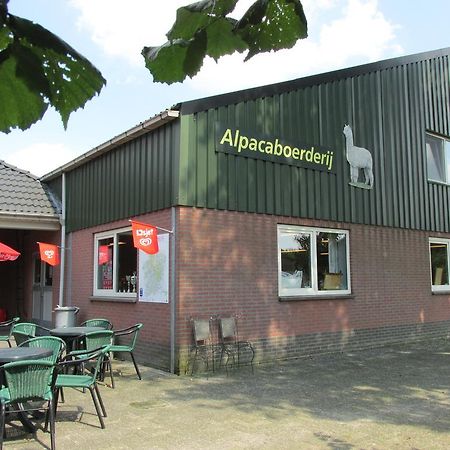 Апартаменты De Alpacaboerderij Bocholt Экстерьер фото