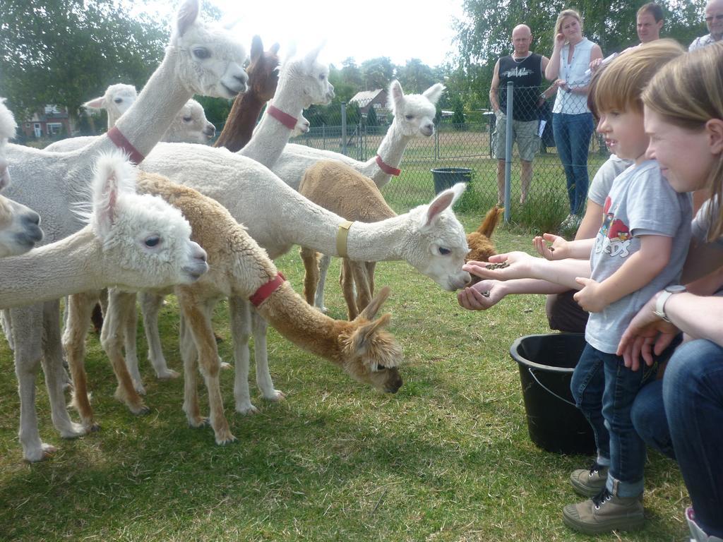 Апартаменты De Alpacaboerderij Bocholt Экстерьер фото